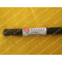 chery-qq-diki-door-shock
